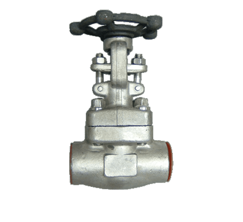 Compact Forged Steel Valve